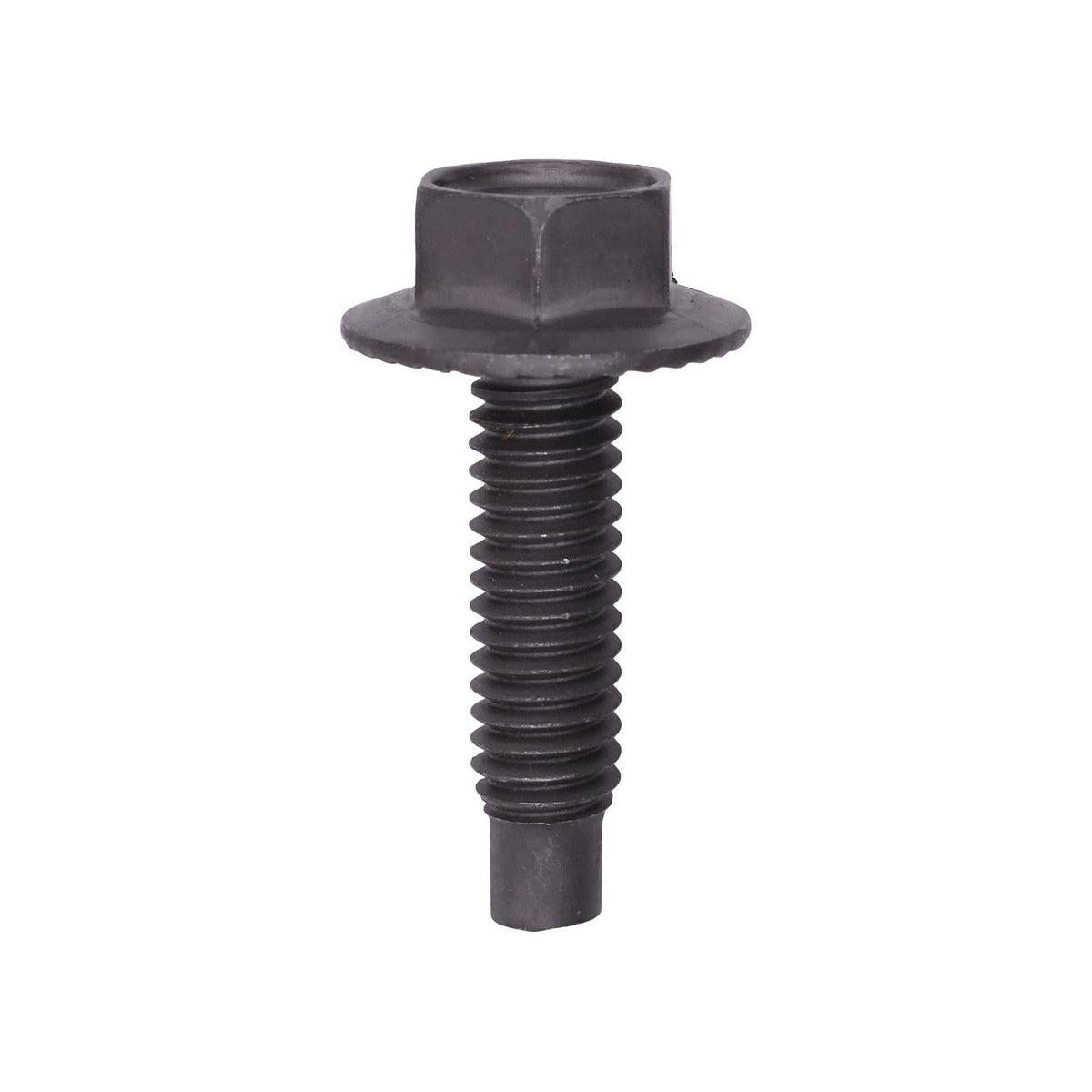 Carriage and Flange Bolts