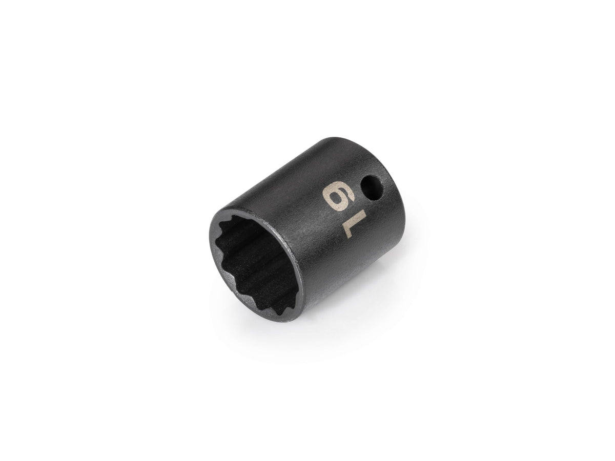 3/8 Inch Drive x 19 mm Shallow 12-Point Impact Socket