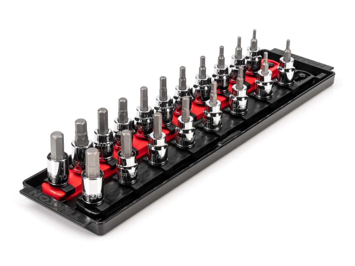 3/8 in Drive Hex Bit Socket Set with Rails and Tray, 19-Piece (1/8 - 3/8 in., 3 - 10 mm)