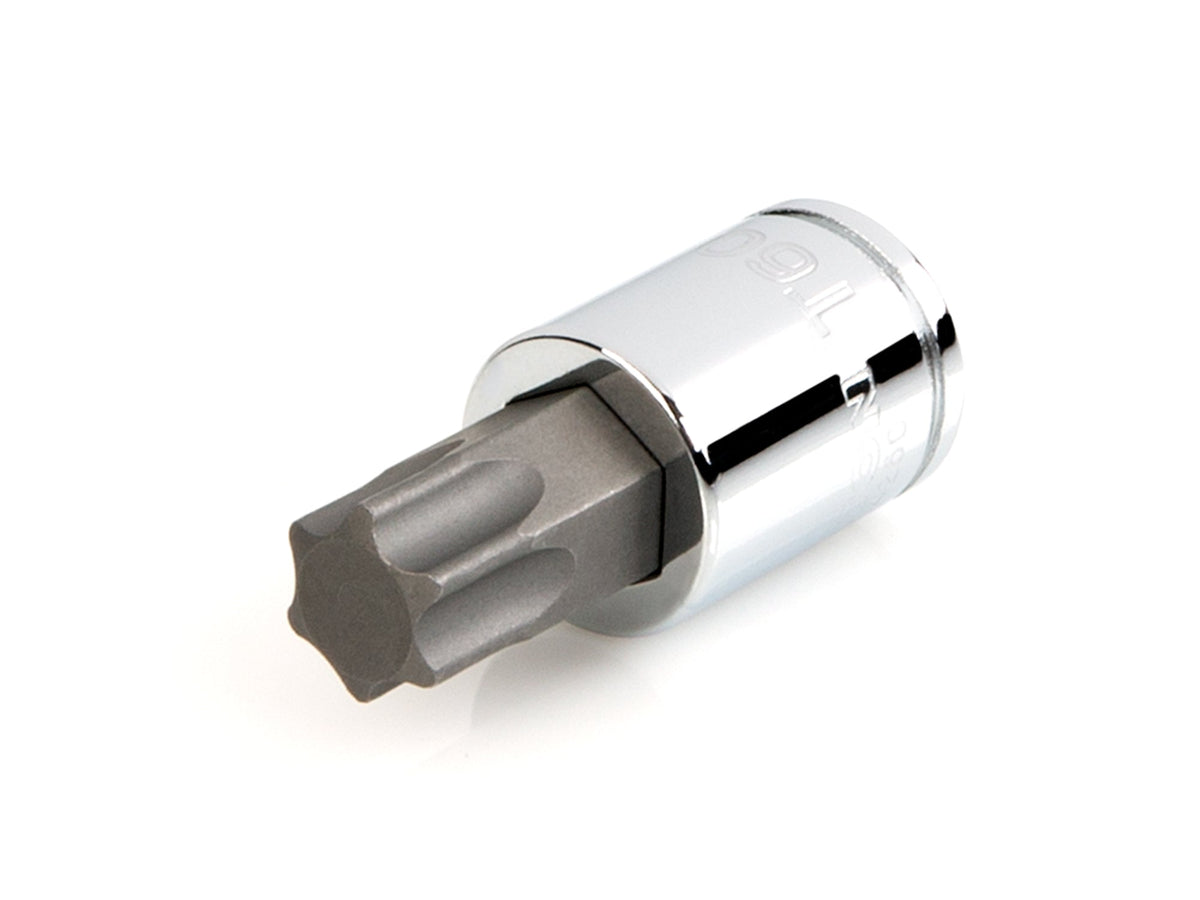 3/8 Inch Drive x T60 Torx Bit Socket