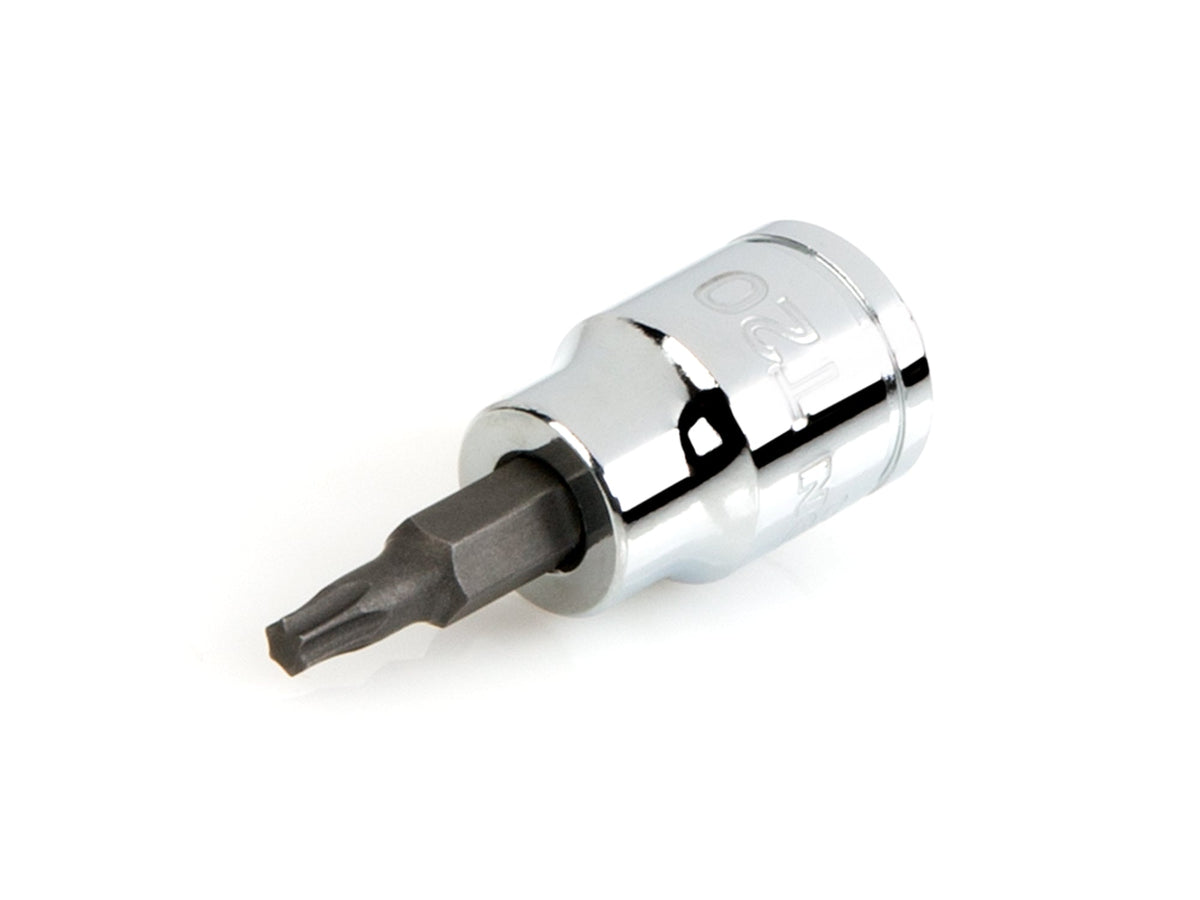 3/8 Inch Drive x T20 Torx Bit Socket